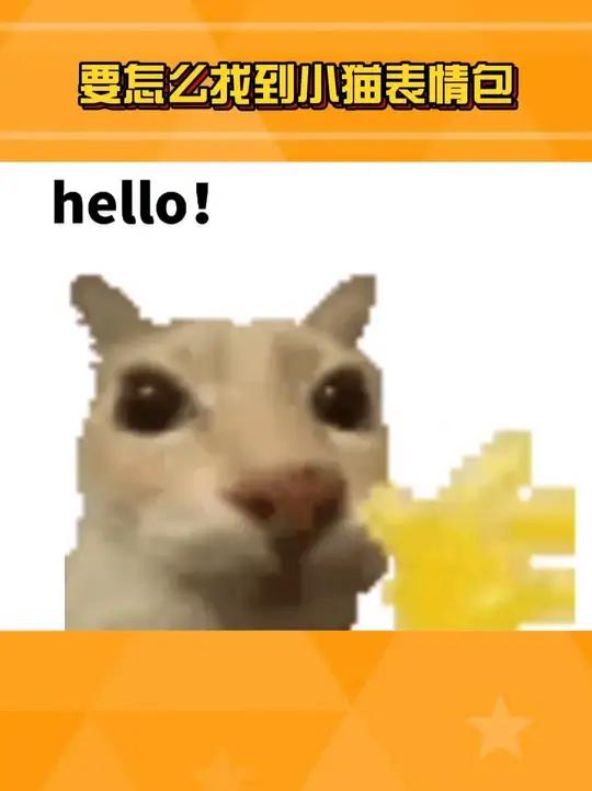 这下想要找到哪个小猫表情包都很方便了！#干嘛猫 #猫猫 #表情包 #娱乐巨咖站