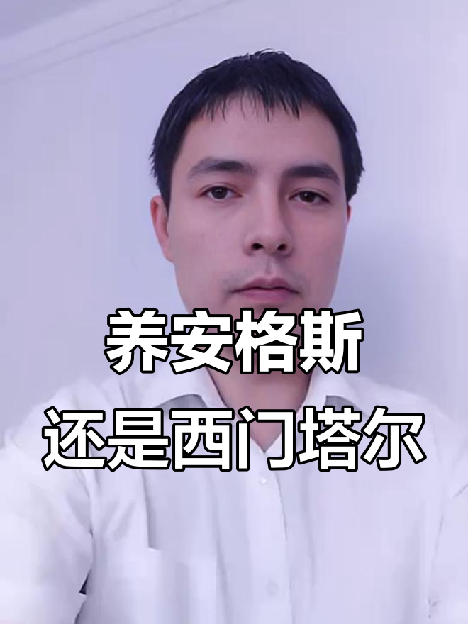 安格斯牛与西门塔尔,哪种更适合创业?