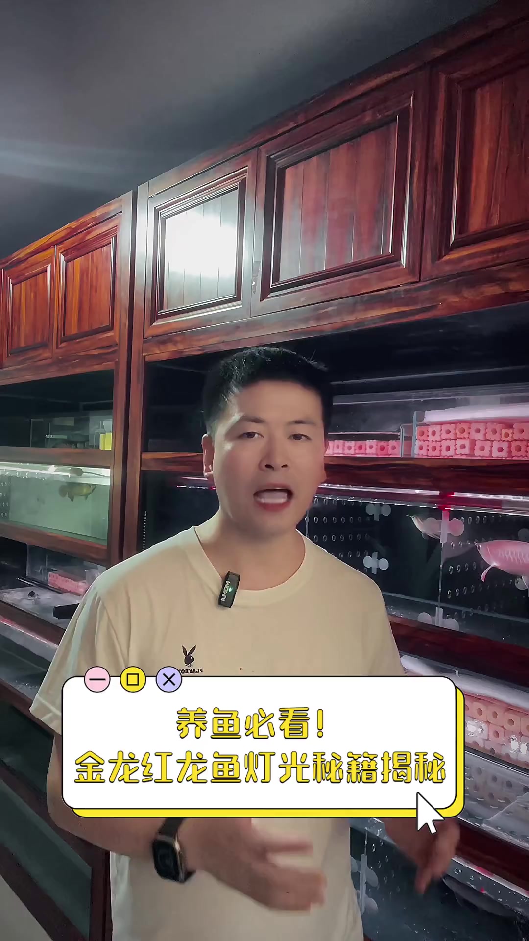养鱼必看!金龙红龙鱼灯光秘籍揭秘