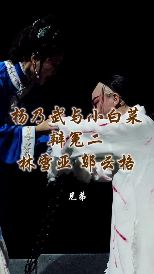 一段让我泪奔的戏！《杨乃武与小白菜. 辩冤二》