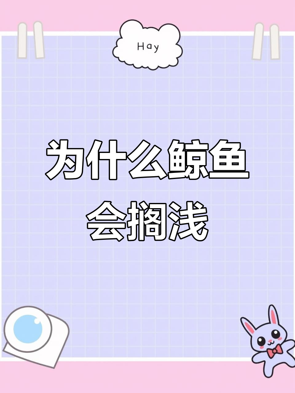 鲸鱼搁浅的五大原因,看看你了解吗?