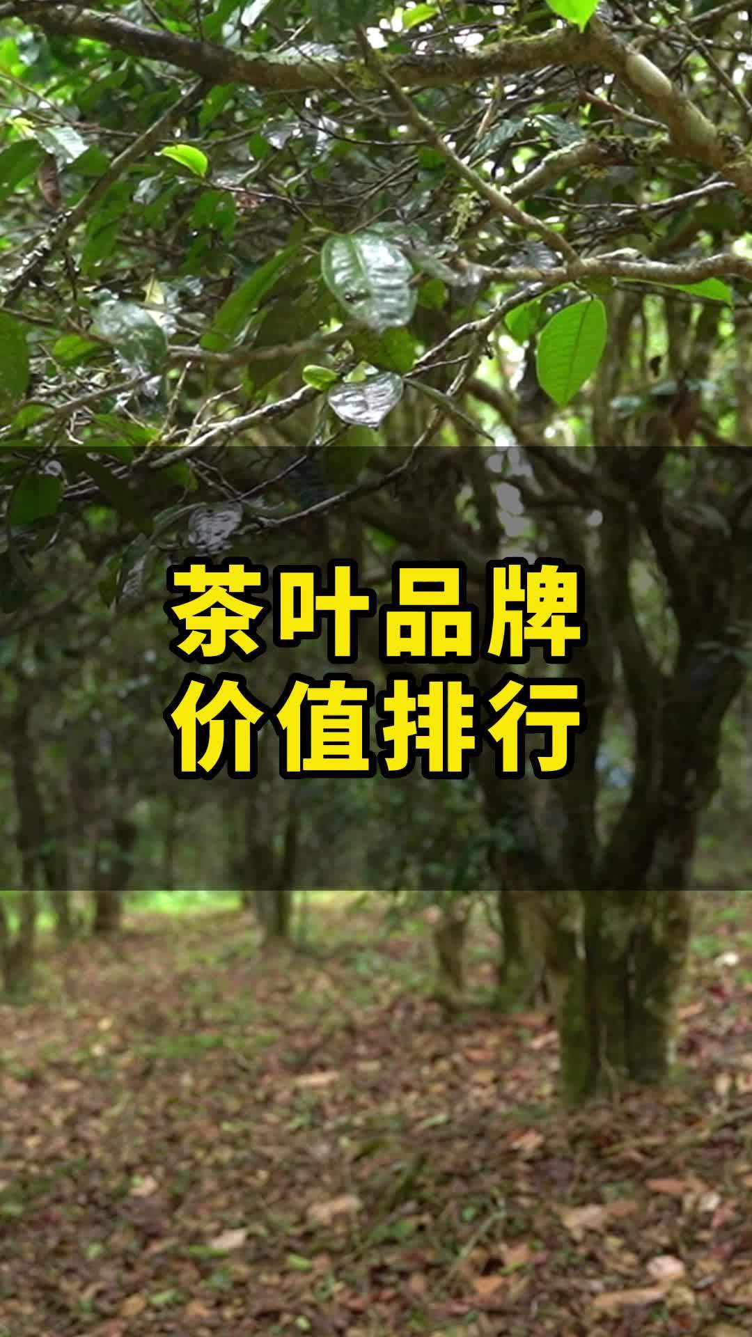 2023中国茶叶区域公用品牌价值排行,猜猜谁是第一名?召唤茶友 茶生活 茶人茶事茶生活