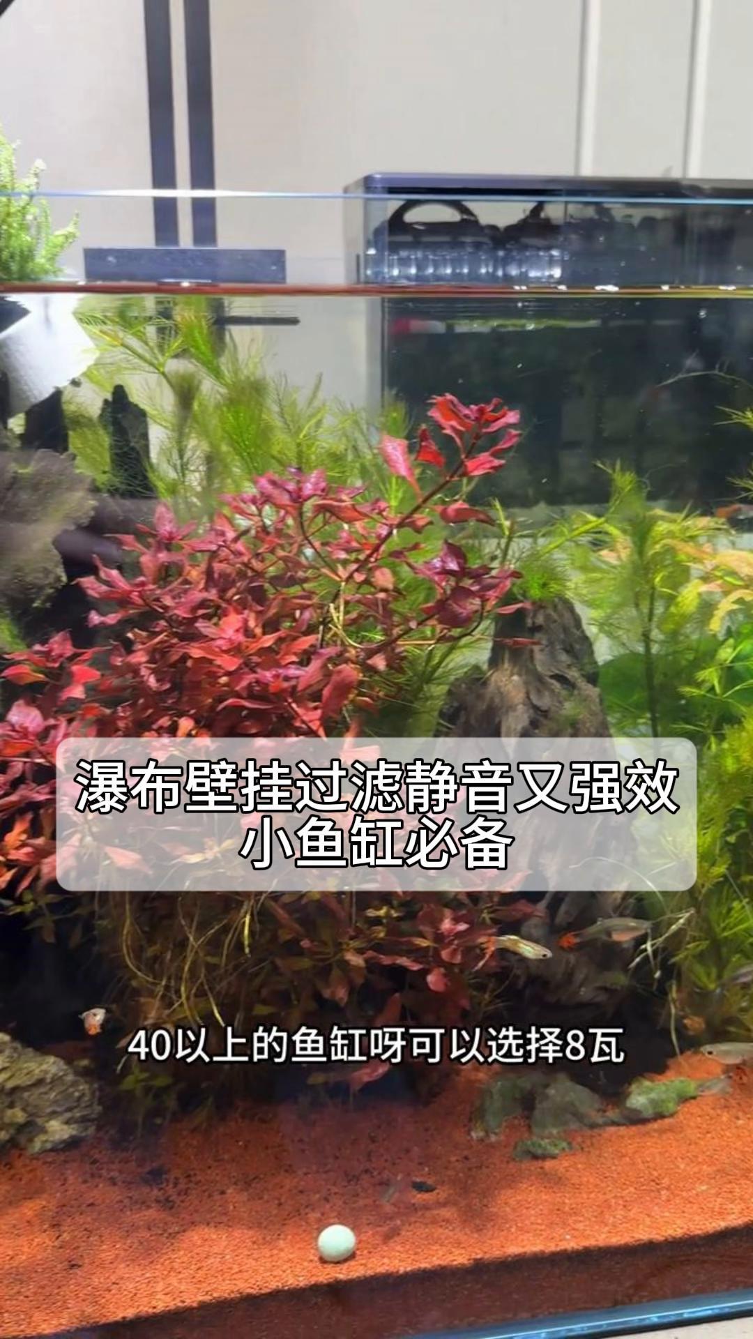 瀑布壁挂过滤静音又强效,小鱼缸必备