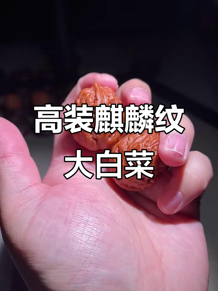 麒麟纹粗筋大白菜,油性十足,上色快不走酱