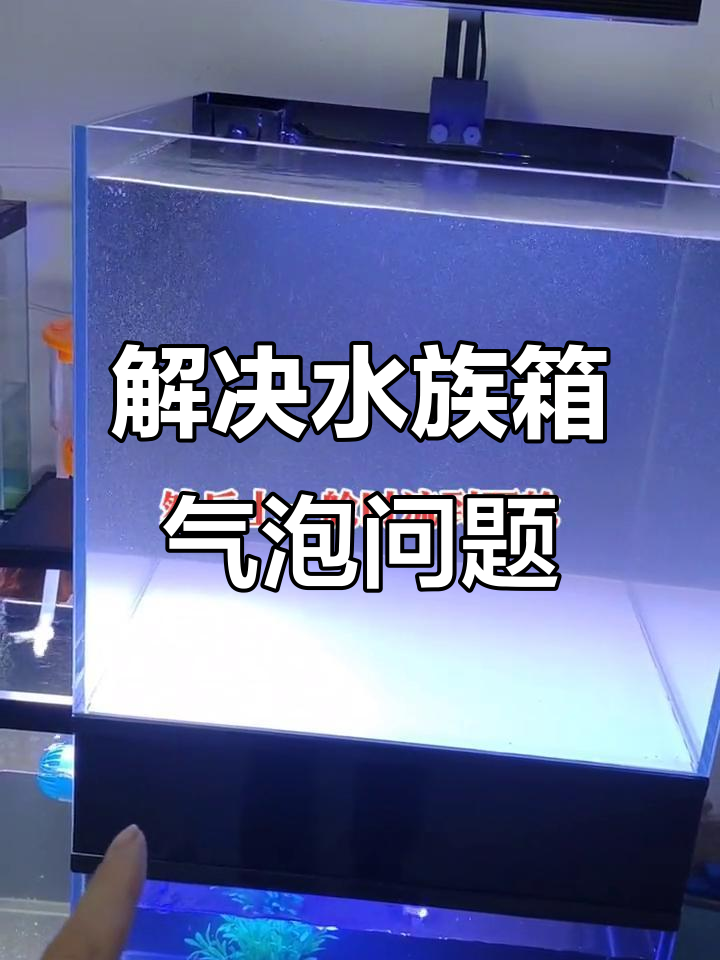 海水鱼缸气泡问题解决:加水泵仓轻松搞定