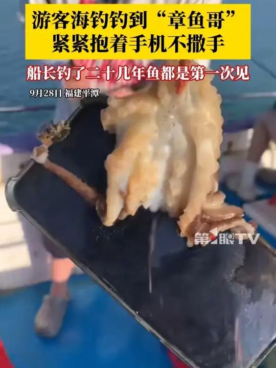 游客海钓钓到“章鱼哥”,紧紧抱着手机不撒手。目击者:手机不能用了,船长钓了二十几年鱼都是第