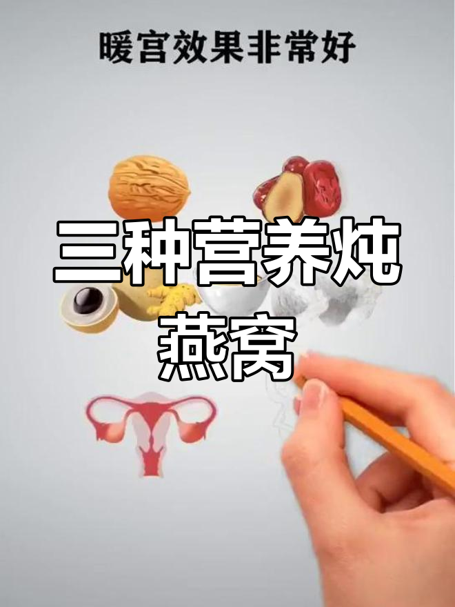 燕窝的三种美味吃法,适合不同需求