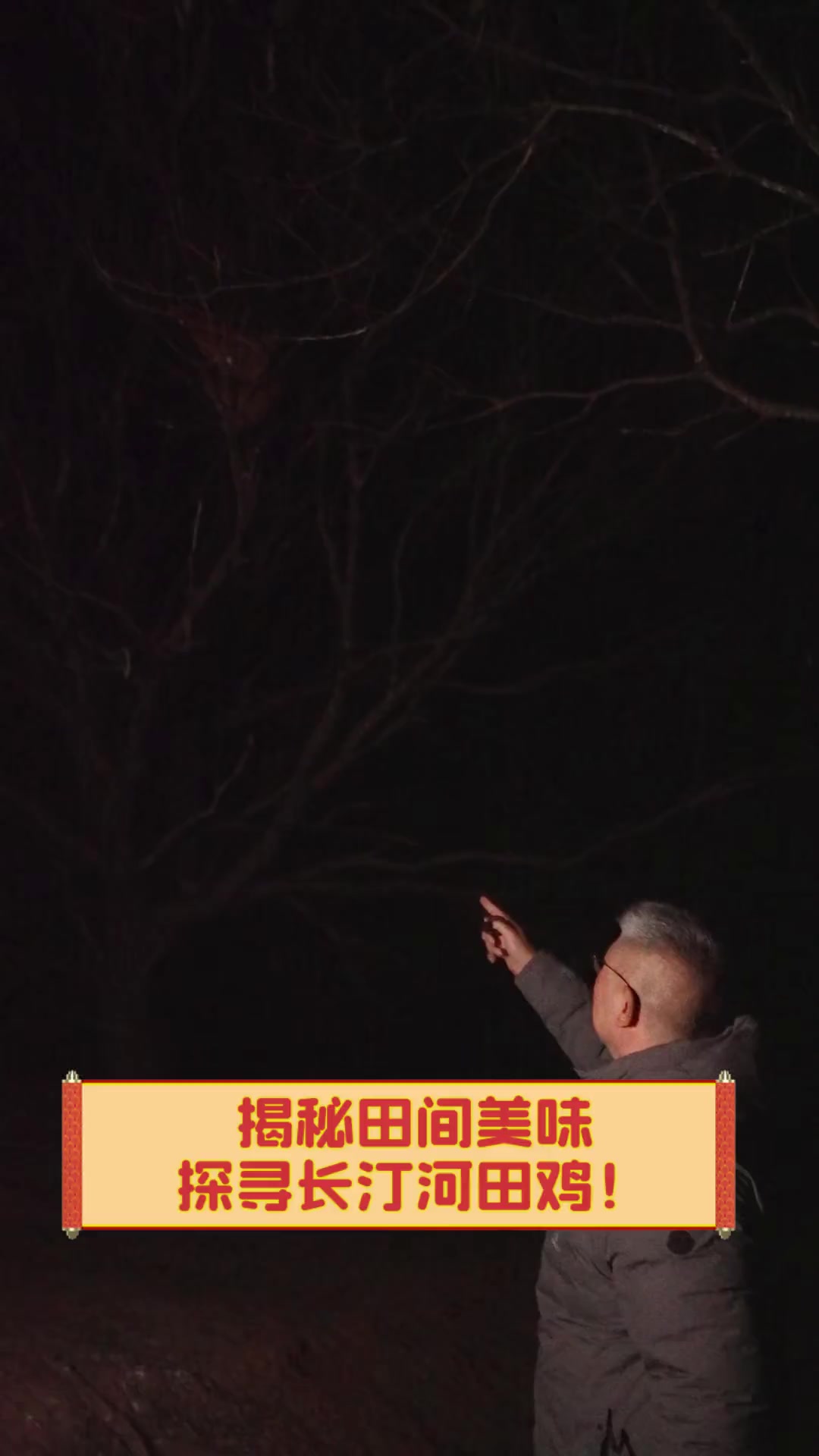 揭秘田间美味,探寻长汀河田鸡!