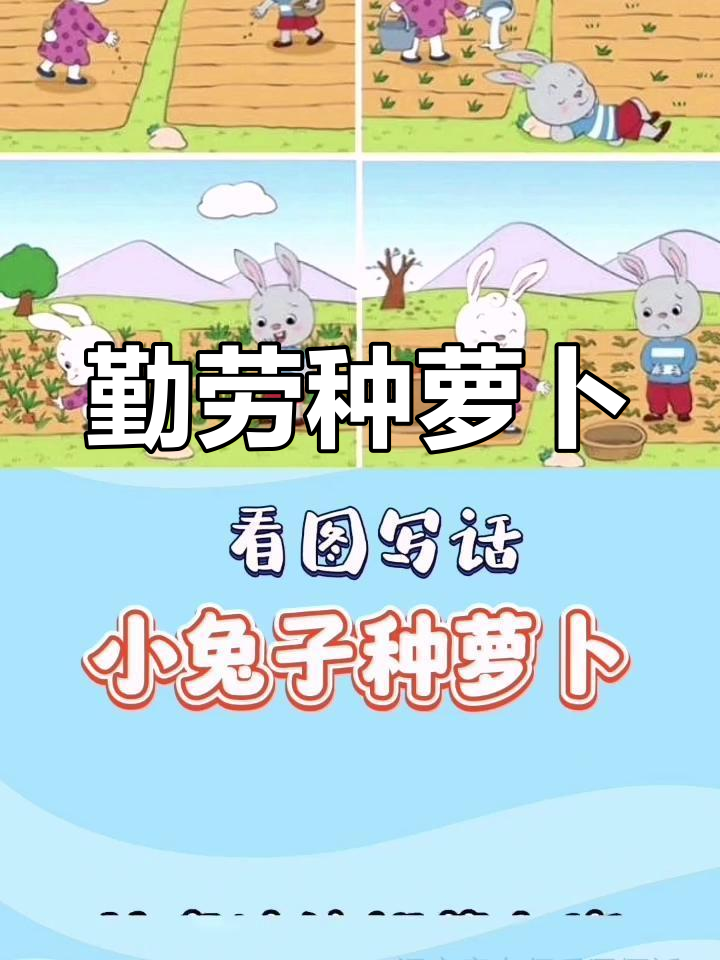 小白兔与小灰兔的胡萝卜种植大比拼