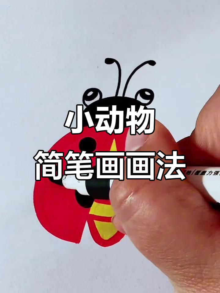 儿童简笔画:画小动物,简单又有趣