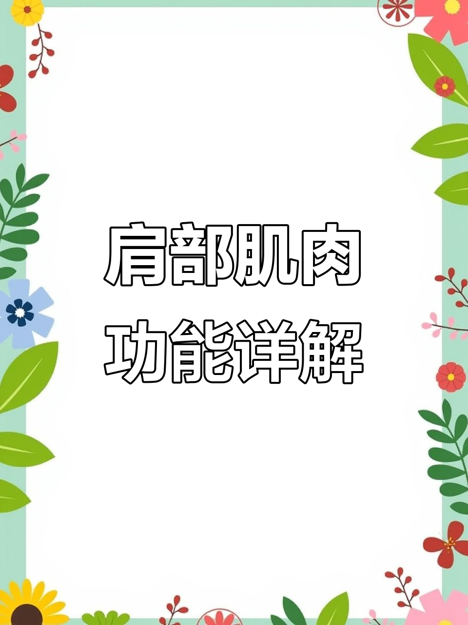 肩关节肌肉解剖:三角肌与肱骨动作解析