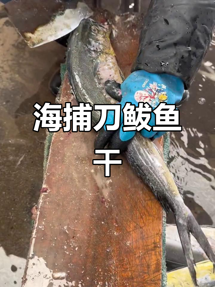 渔民手工制作刀鲅鱼干,七斤发货美味满满