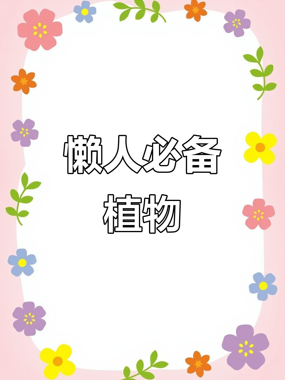 这款植物超好养,耐旱又持久,新手也能轻松让它爆盆!