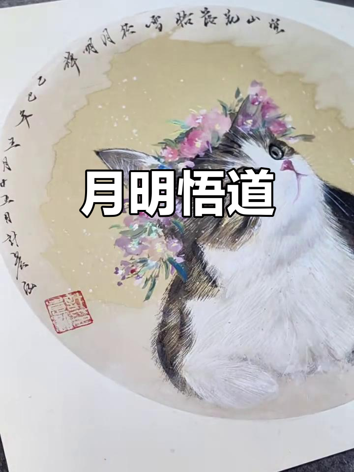 空山月下,雪径禅心:悟空猫的静谧时光