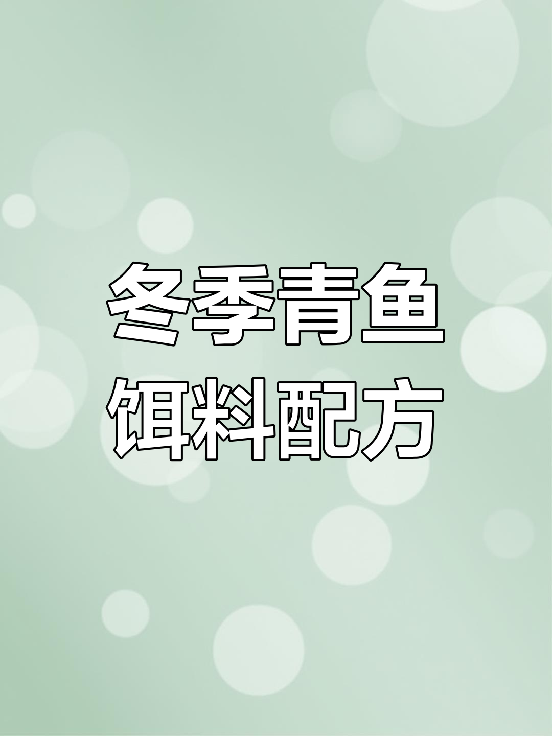 冬季青鱼饵料制作技巧,螺肉与夏季有何不同