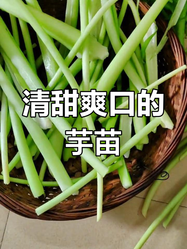 海南中部常见野菜,鲜芋蒙的独特吃法