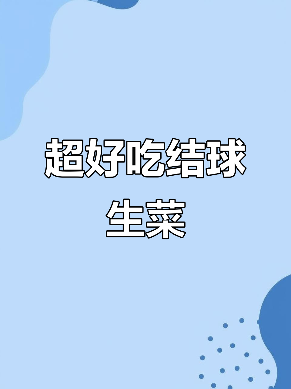 结球生菜，脆嫩无苦味，做沙拉汉堡超赞！