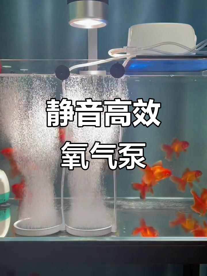 静音八瓦气泵,细腻气泡助力鱼缸增氧
