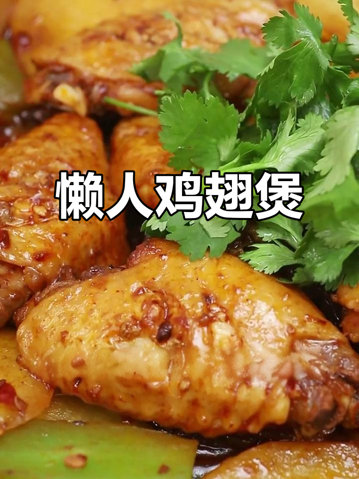 懒人必备,香浓鸡翅煲,简单又美味!火锅爱好者必试