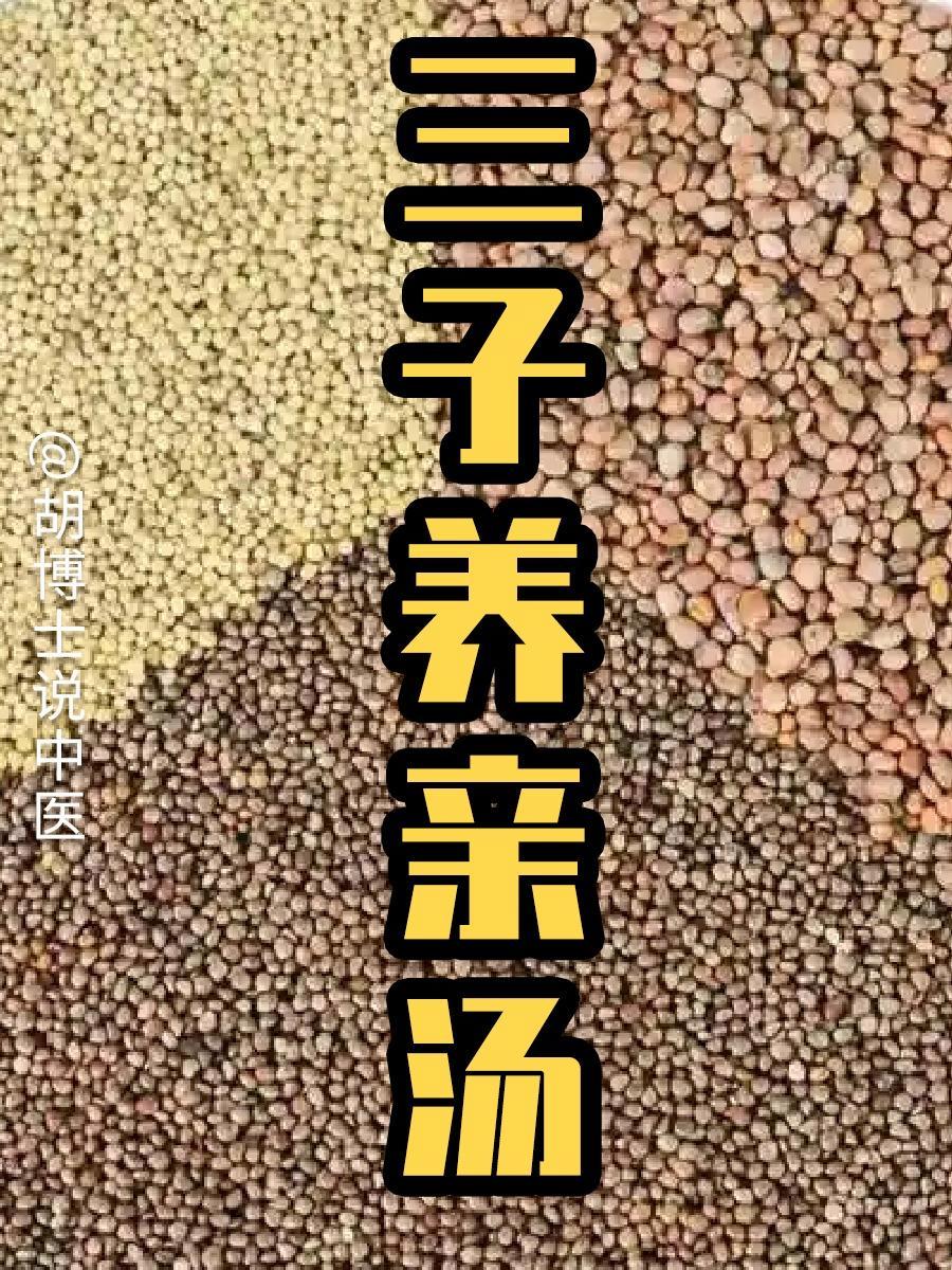 三子养亲汤 三子养亲汤 硬核健康科普行动 养生 健康科普 胡博士说中医