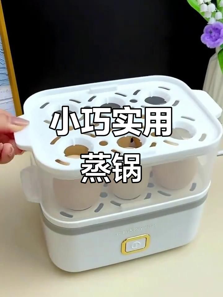 荣事达小蒸锅,早餐轻松搞定,鸡蛋、包子都能蒸