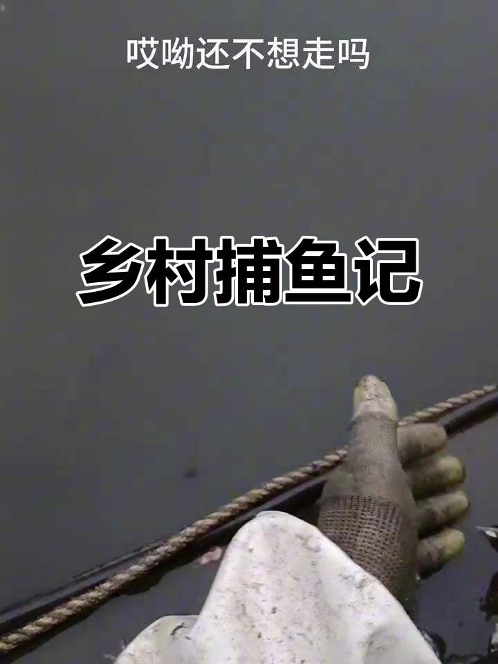 农村捕鱼日常,喜欢就点个赞关注吧!