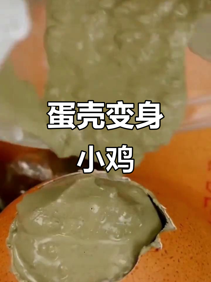 废鸡蛋壳变可爱小鸡，DIY手工小妙招