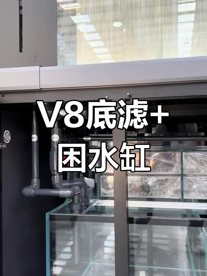 宝钻V8过滤系统+困水缸,打造高效鱼缸水质管理