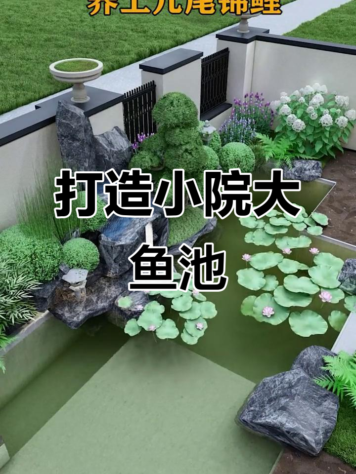 小庭院变鱼池天堂,假山流水与锦鲤相伴