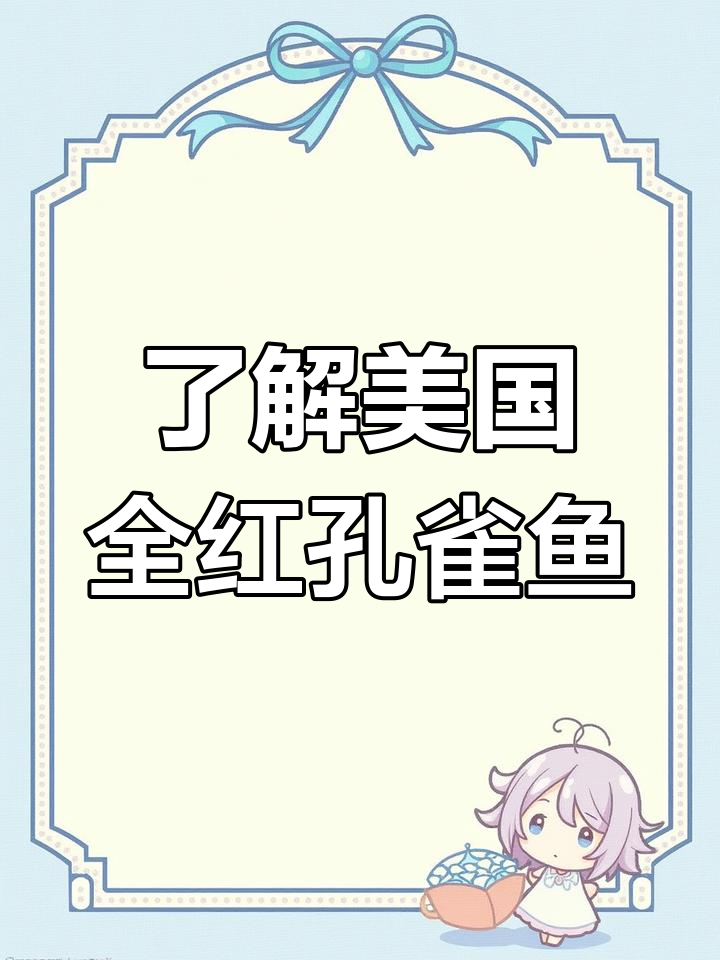 美国全红孔雀鱼:经典与流行的完美结合