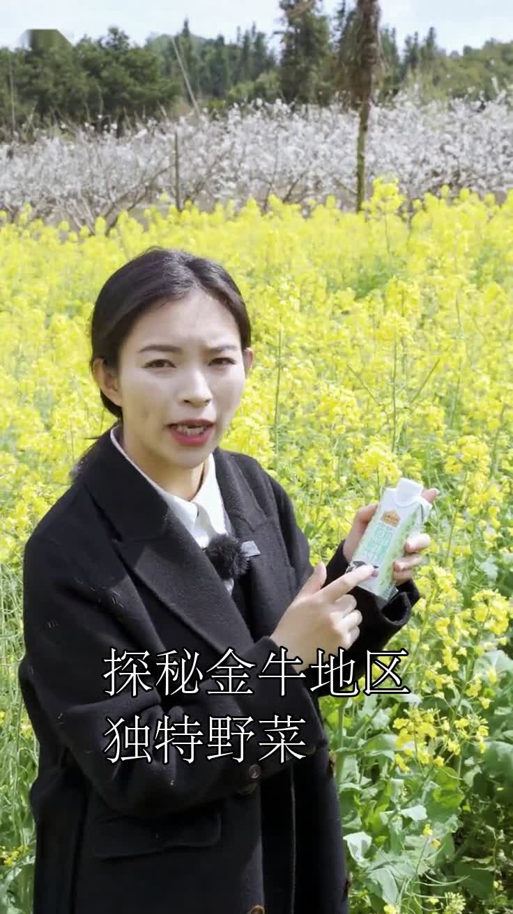 探秘金牛地区独特野菜