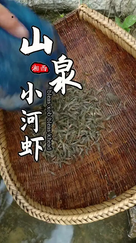 透亮虾壳裹嫩白肉身,须足轻颤似刚跃出水面精灵