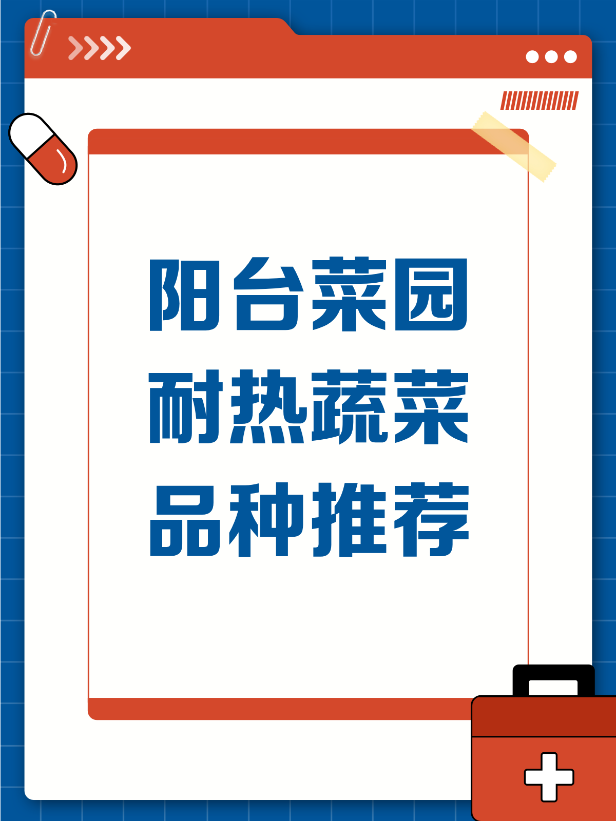 阳台种菜新选择!这些耐热蔬菜品种超推荐