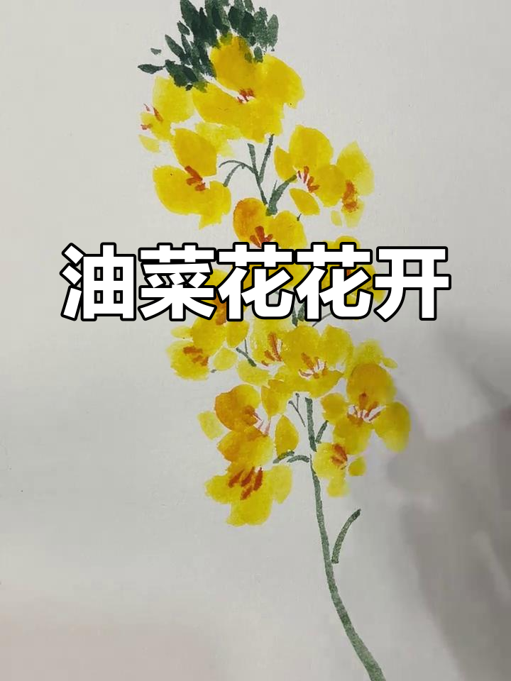 少儿国画:油菜花与春天的色彩