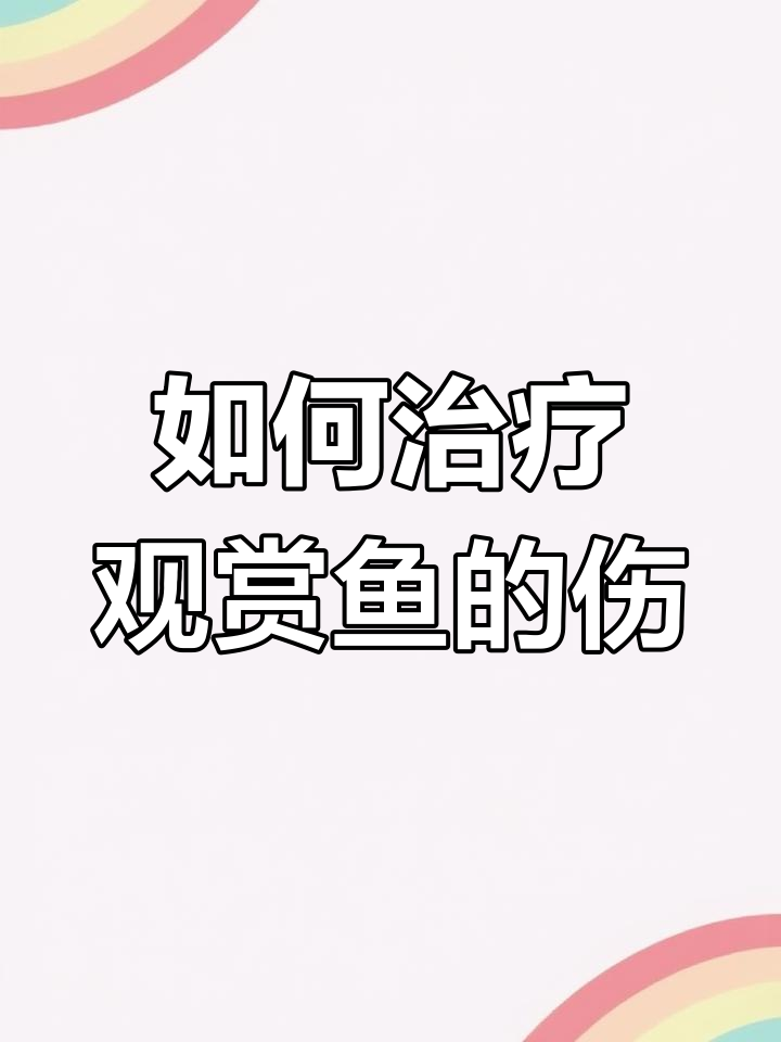 观赏鱼烂身、烂尾怎么办?教你快速处理伤口
