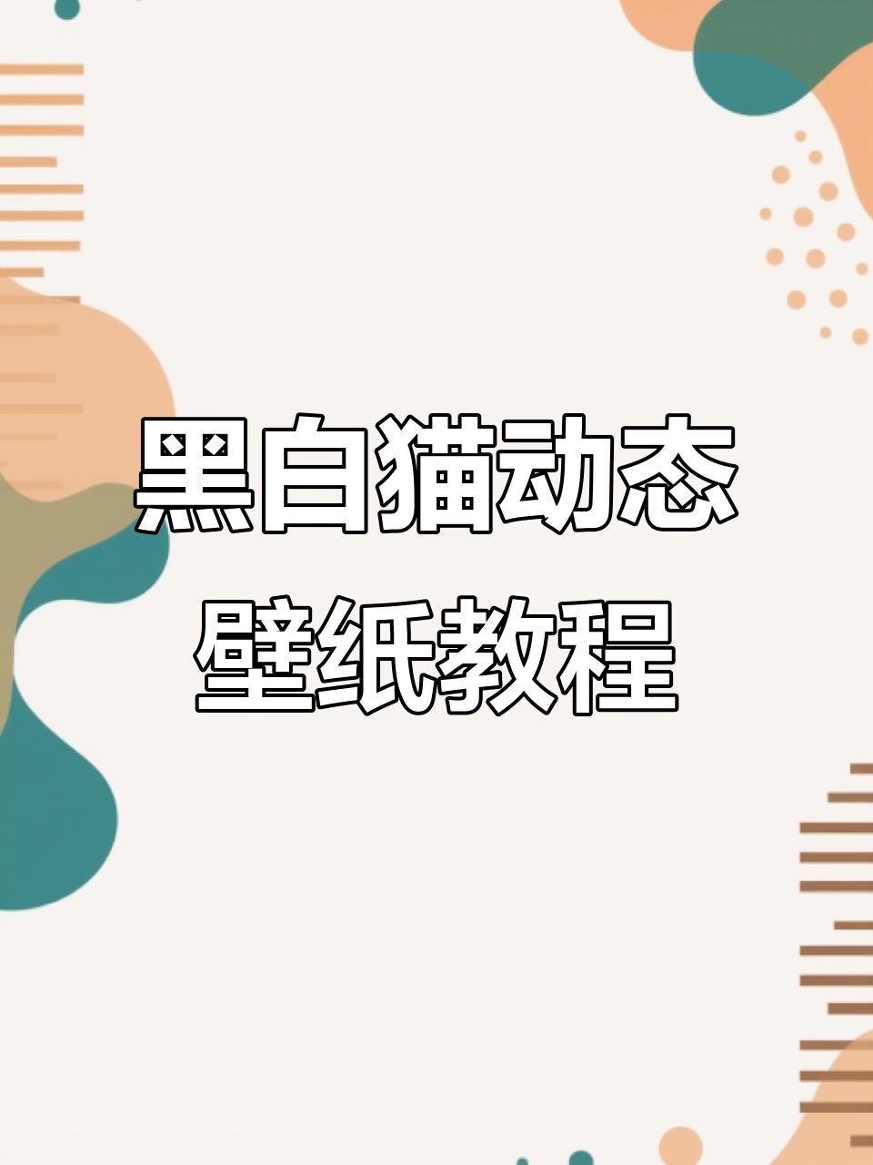 动态黑白猫壁纸教程,轻松打造炫酷手机背景