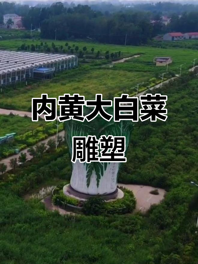 内黄巨型“大白菜”雕塑亮相,寓意百财,高19米直径8米