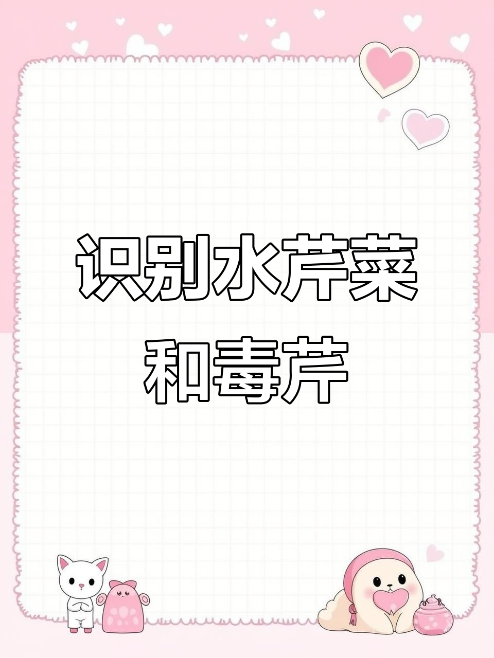 水芹菜与毒芹的区别,别乱采!