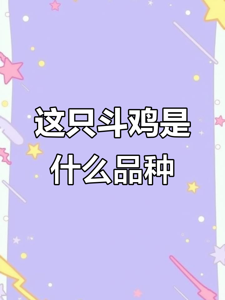 偶遇斗鸡,这是什么品种?公鸡中的战斗机!