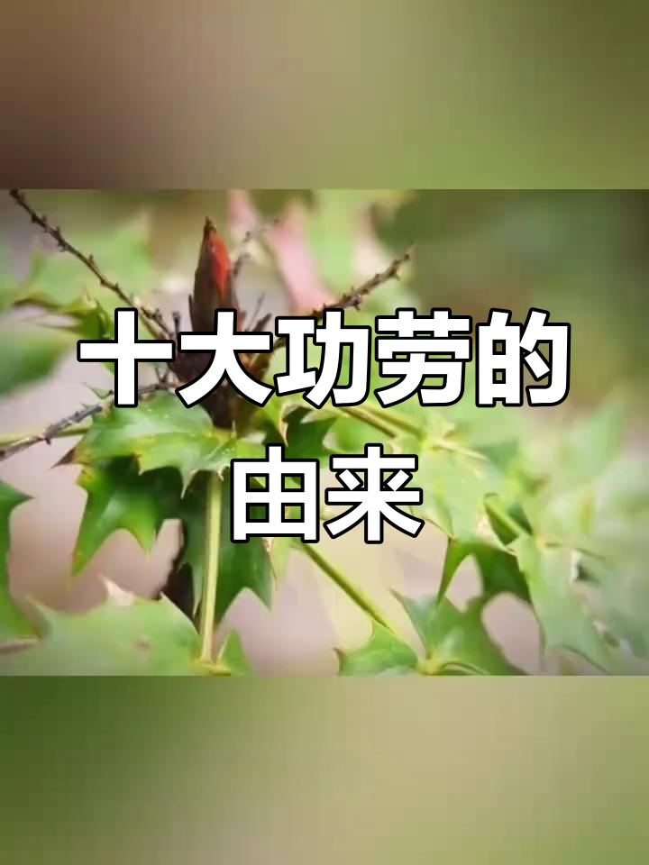 十大功劳:名字背后的秘密与神奇功效