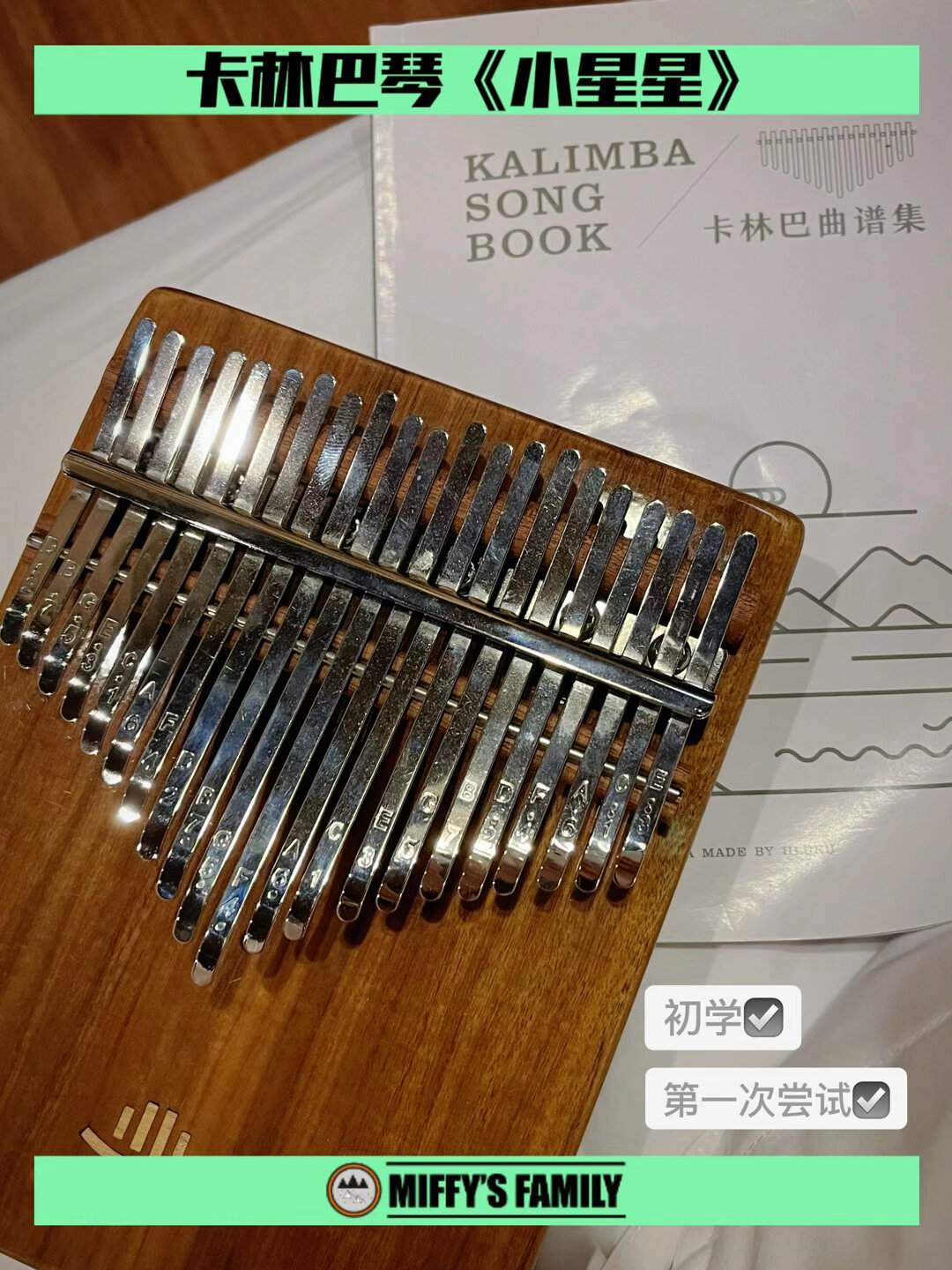 一本正经乱弹琴|第一次尝试卡林巴琴