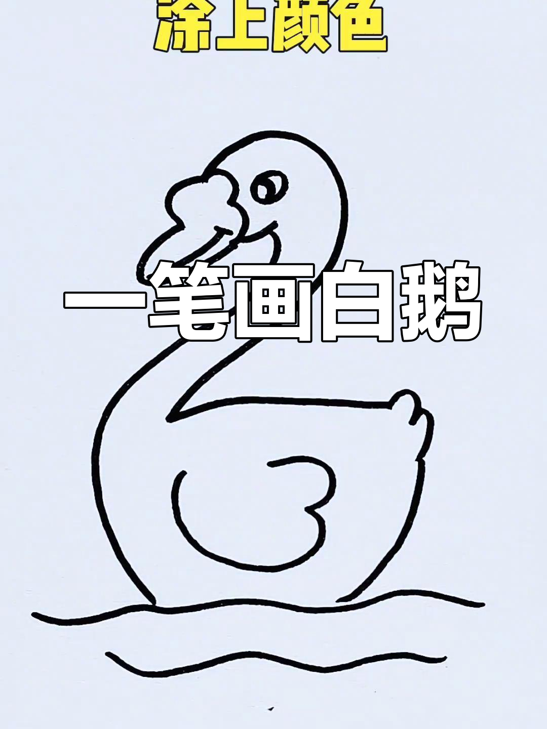 轻松学会画白鹅
