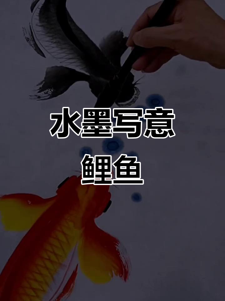 水墨画鲤鱼,诗意盎然