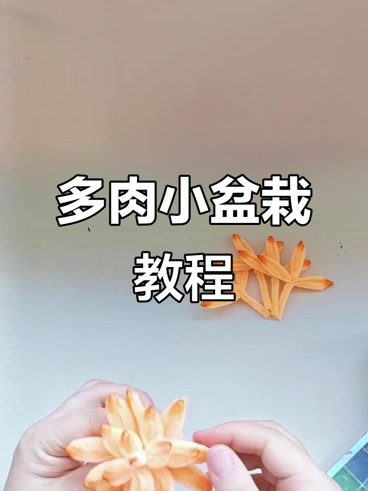 扭棒多肉小盆栽制作教程,轻松打造魔法花朵