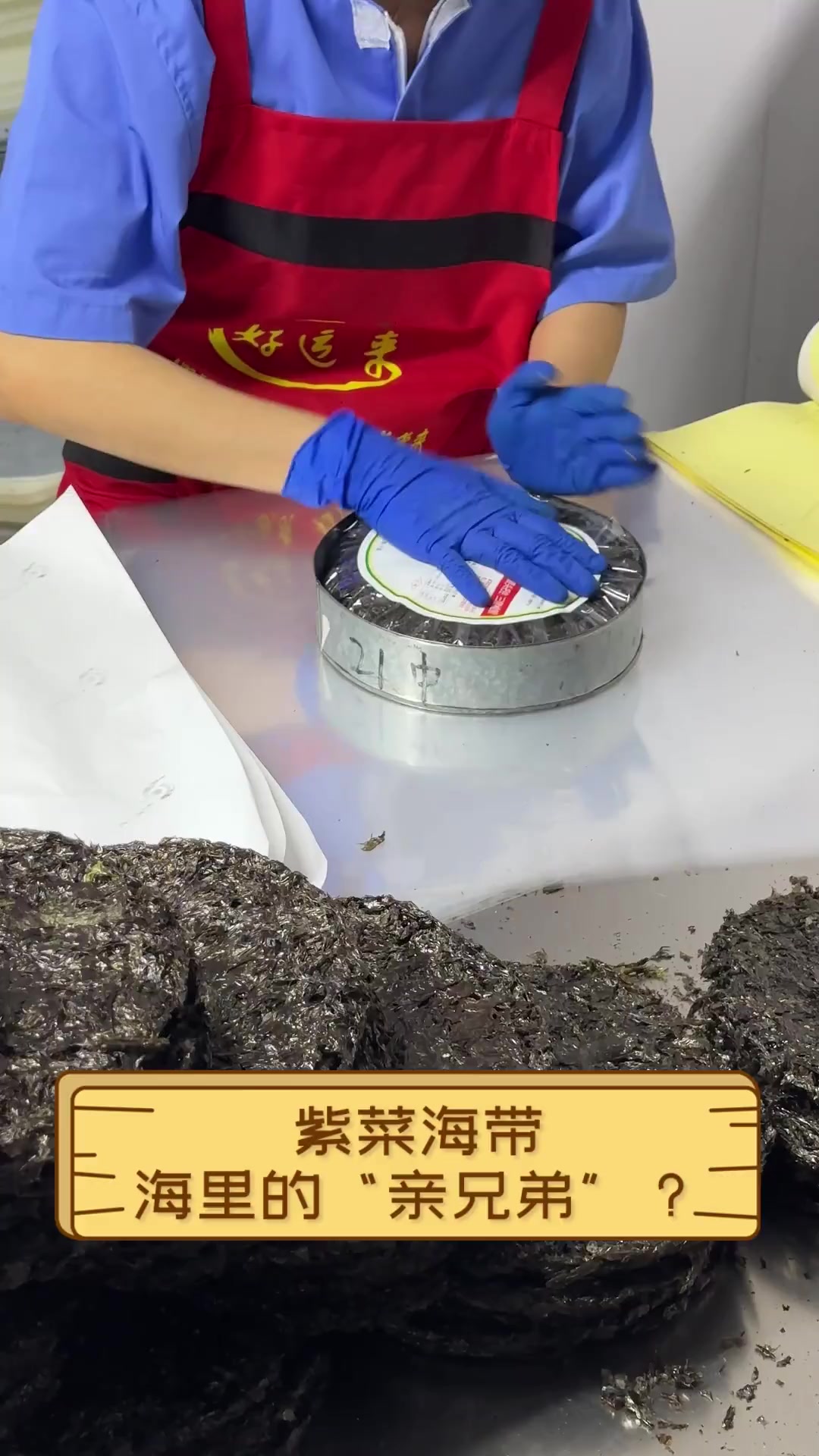 紫菜海带,海里的“亲兄弟”?