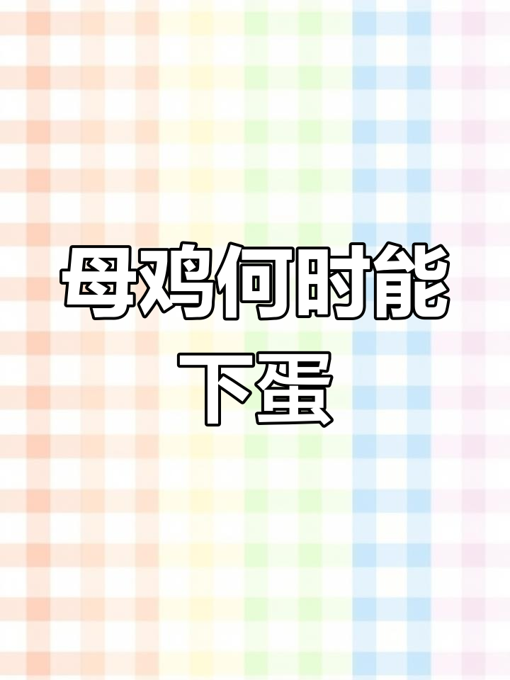 母鸡多久开始产蛋?养殖技巧大揭秘