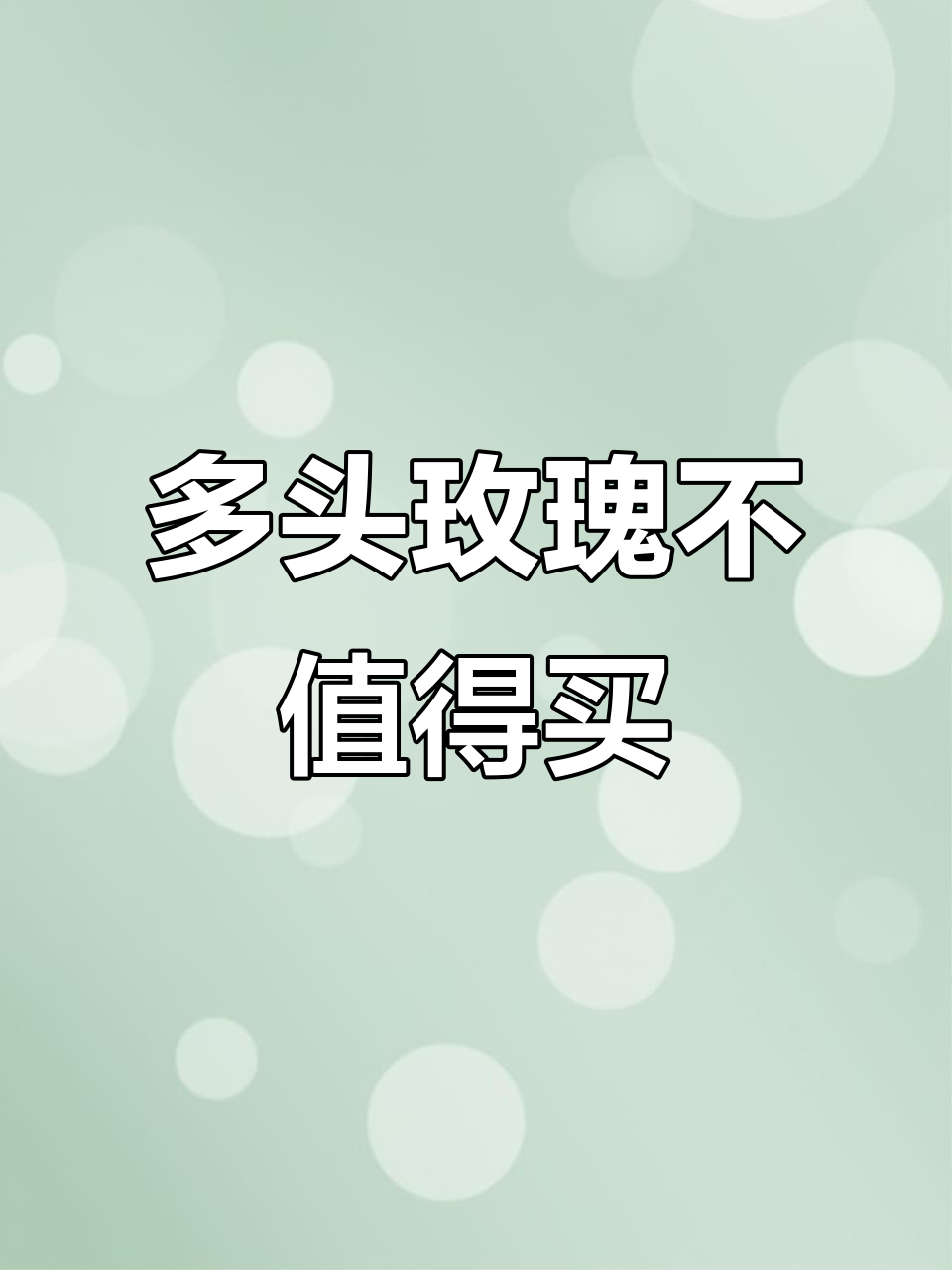 云舍花卉多头玫瑰,买了后悔!花朵蔫了不说还生病