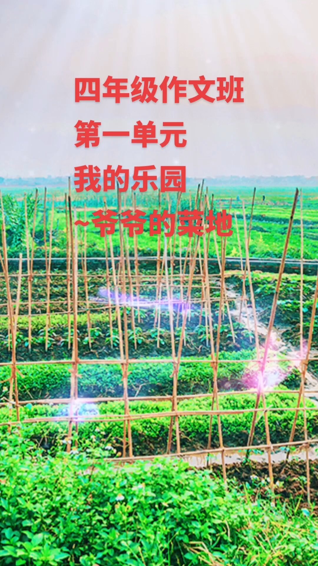 四年级作文~我的乐园~爷爷的菜地