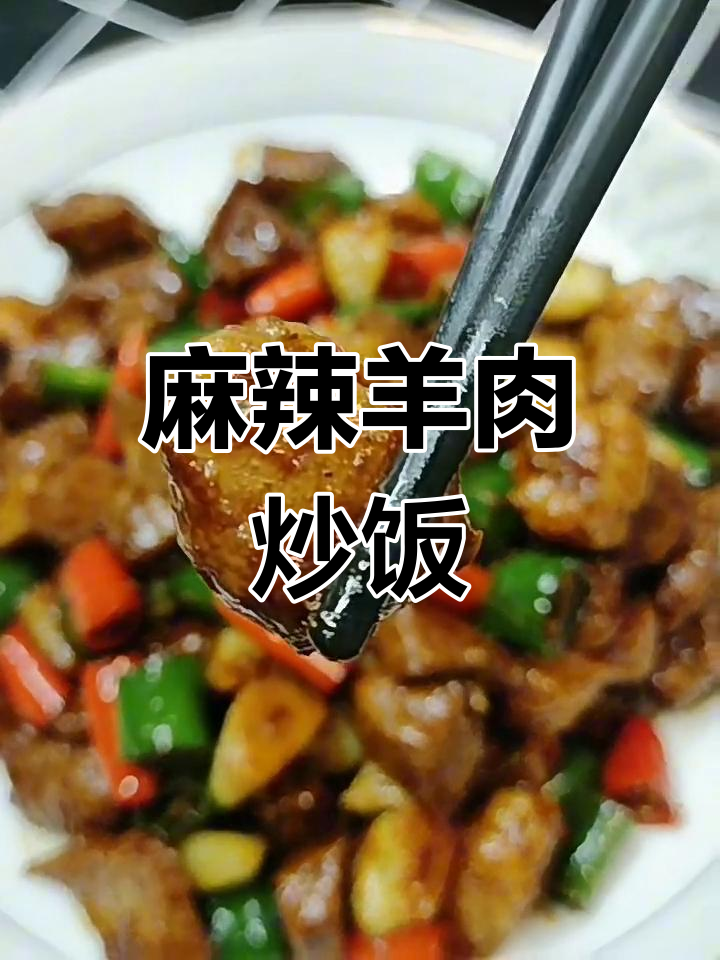 麻辣羊肉炒饭,米饭配着吃最过瘾