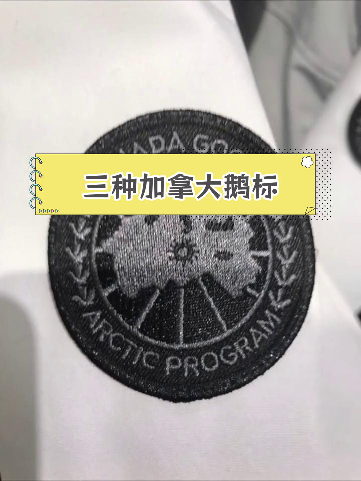 加拿大鹅三款标志对比